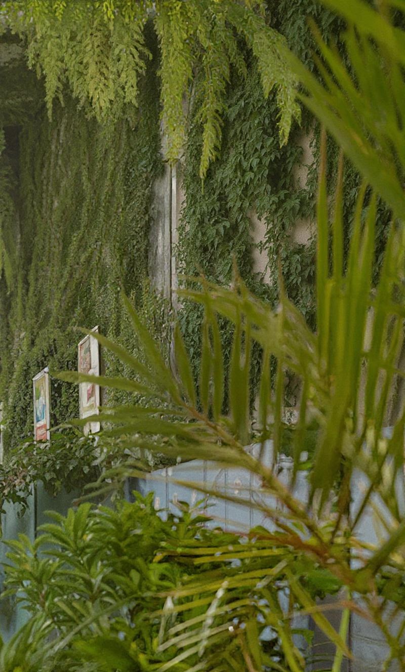 make-it-more-beautiful-some-vegetation-pip6zqdwmn