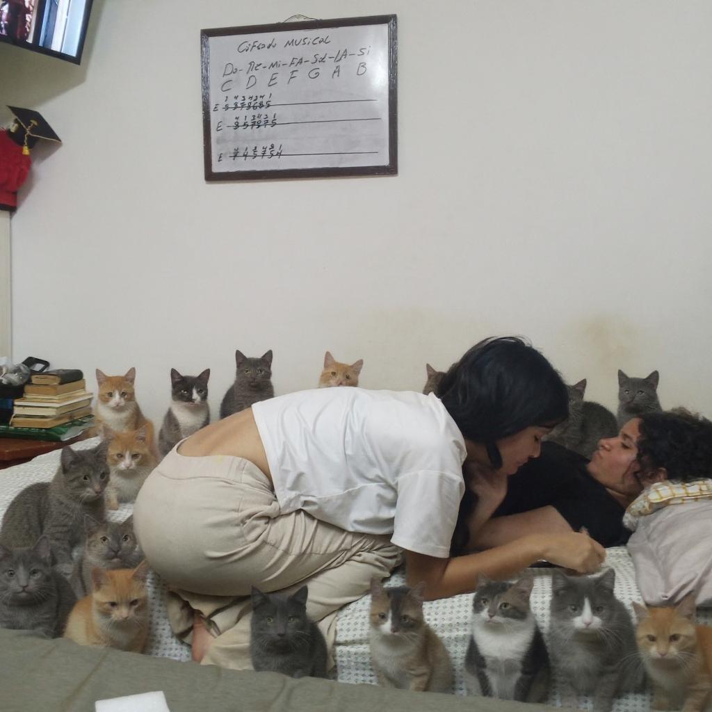 you-can-have-them-surrounded-by-a-bunch-5xpgp2lf1q