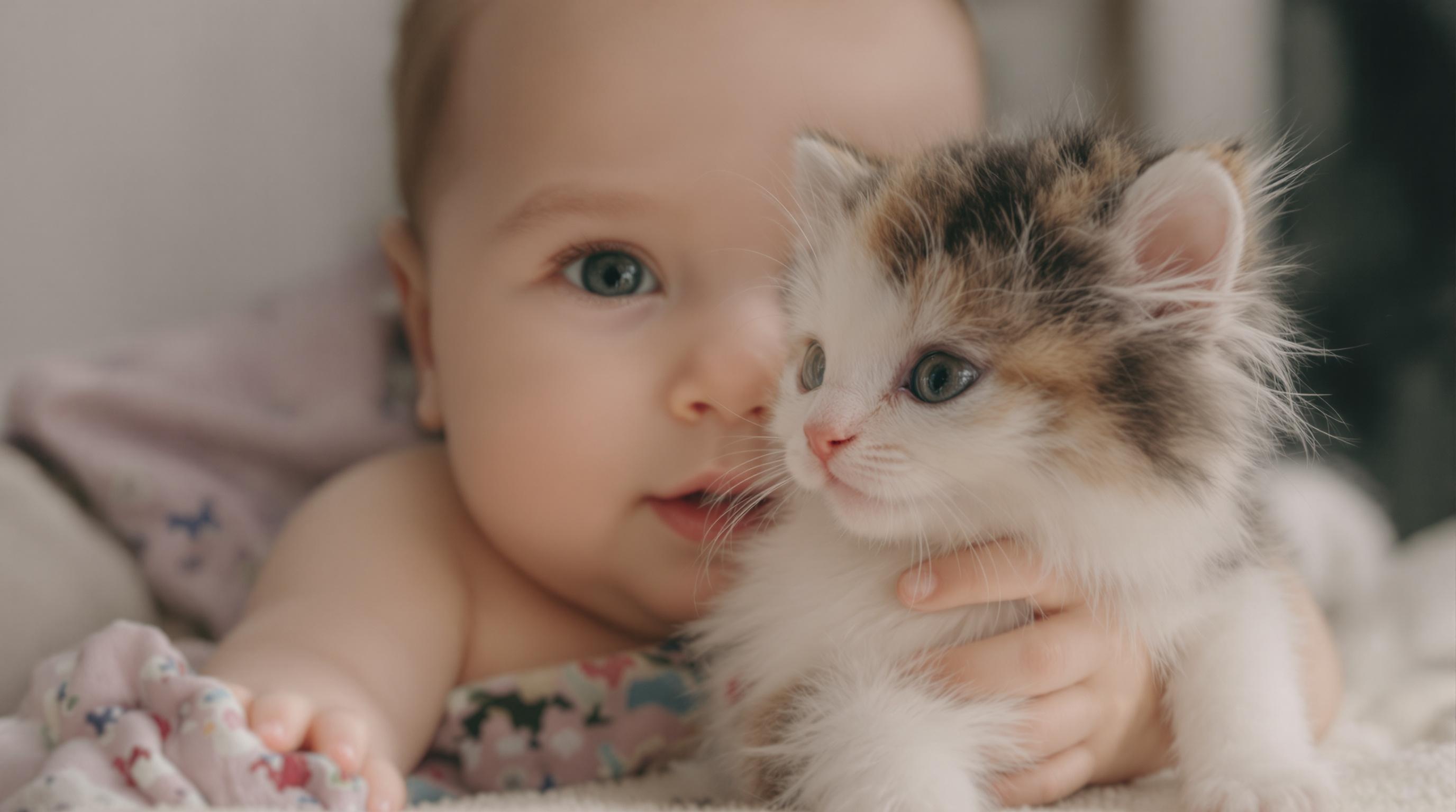 cute-baby-with-fluffy-kitten-9e0qpkwui9