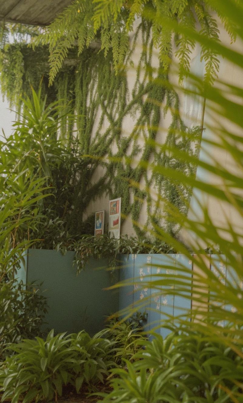 more-jungle-vegetation-on-the-wall-xlh5gxaqgv
