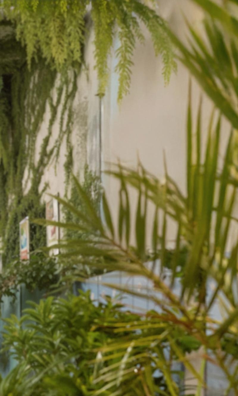 fill-it-more-with-vegetation-blurred-1-vmudvpr7eb