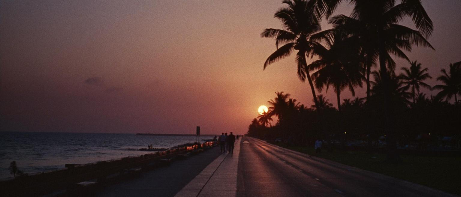 90s photograph of a tropical beach boulevard, grainy quality, the sun is setting