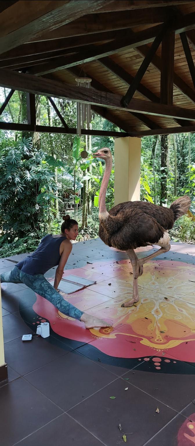 add-an-ostrich-which-do-yoga-near-this-woman-and-uqjunxjp1p