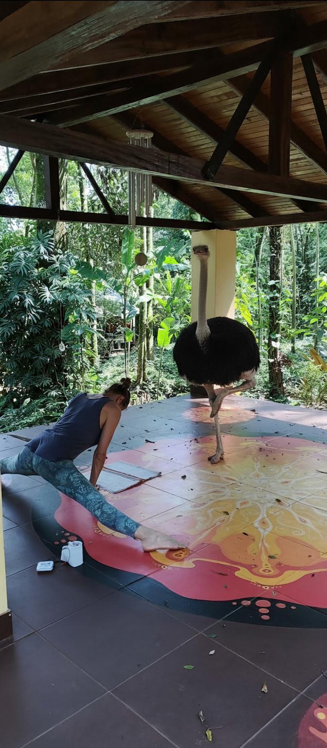 add-an-ostrich-which-do-yoga-near-this-woman-pttjnbtzvq