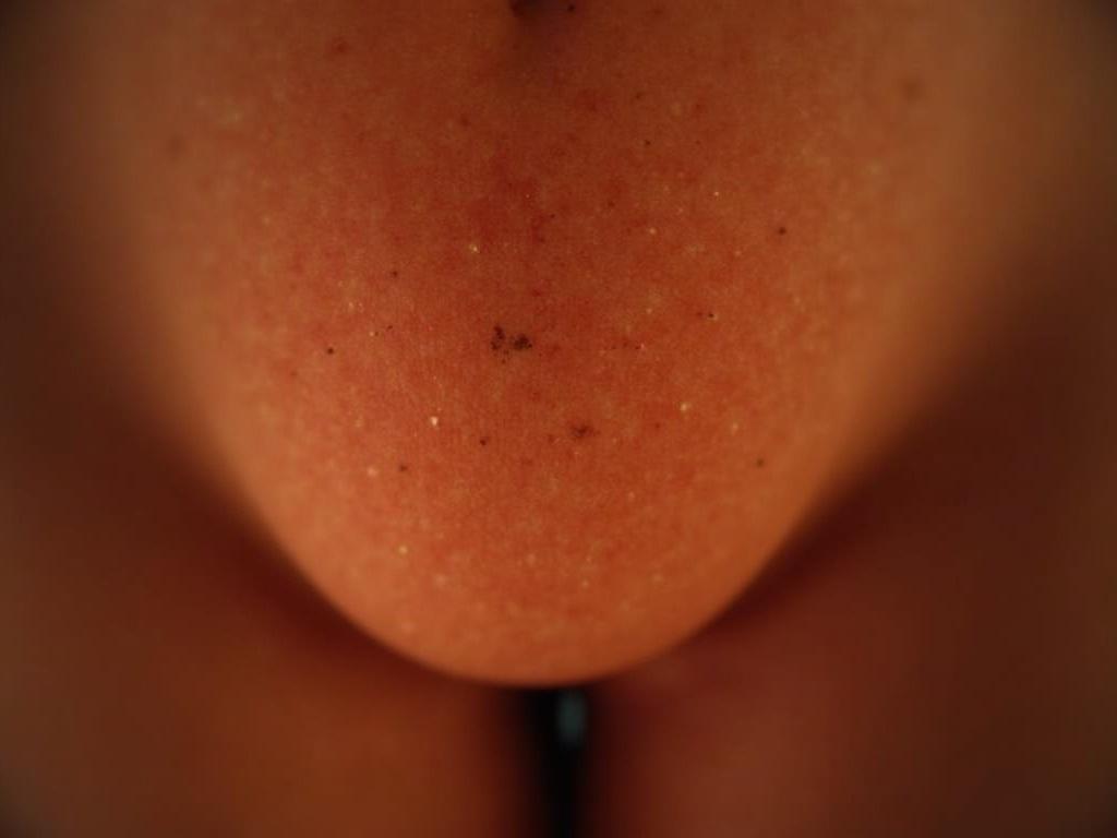 closeup-vulva-with-beautiful-light-brown-pubic-57fannslul