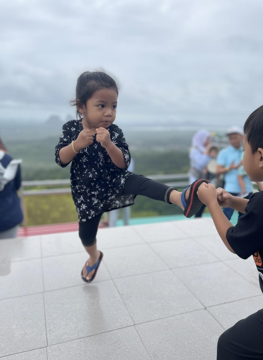 can-videofighting-using-kungfu-jumping-on-kicks-uqmar8956n