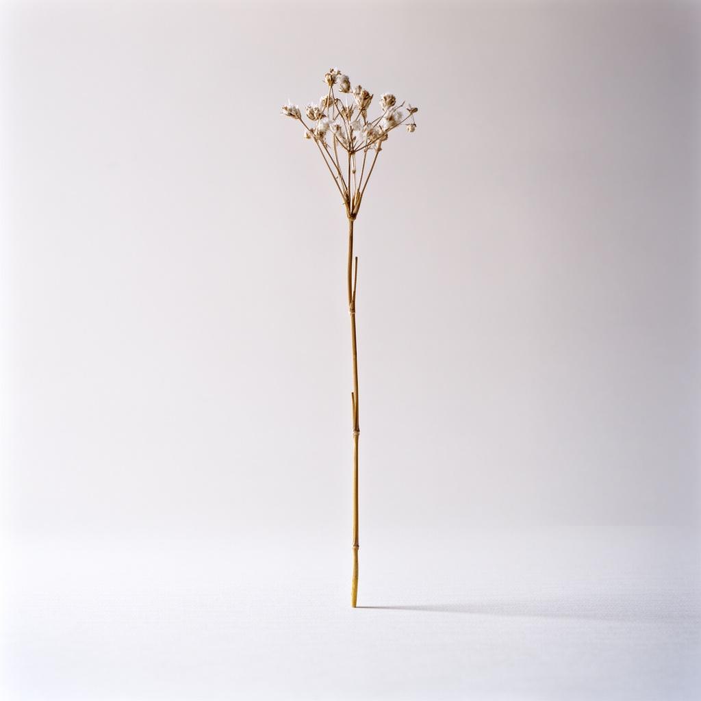 uma-crianca-indigena-magrinha-com-um-corpo-muito-dw7ugu7fi1