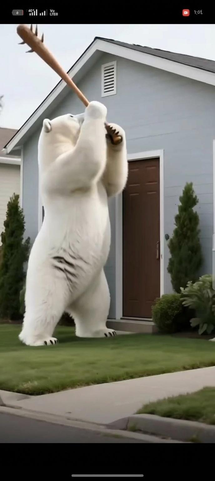 shyl-alklam-aly-aly-alswrh-3jcyjgmu7v