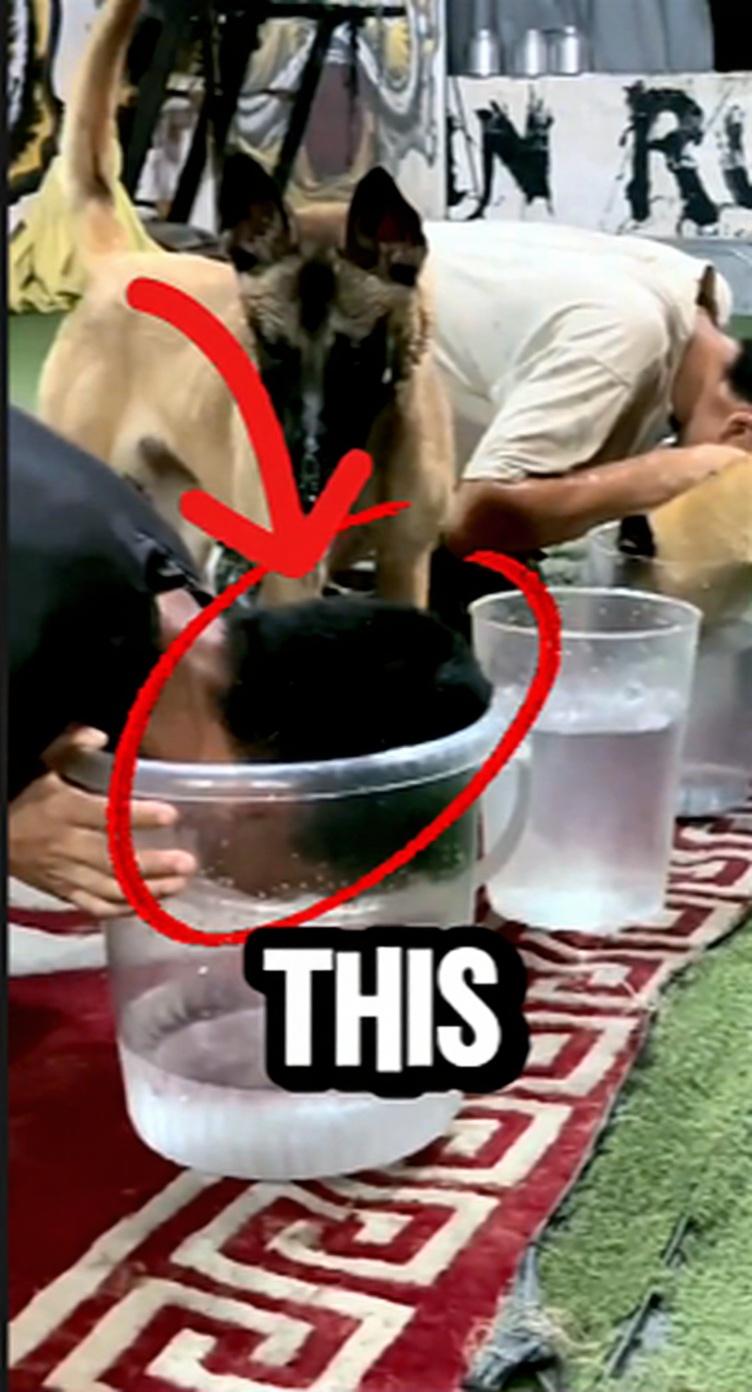 make-a-youtube-short-thumbnail-high-contrast-1tzjpmxj26