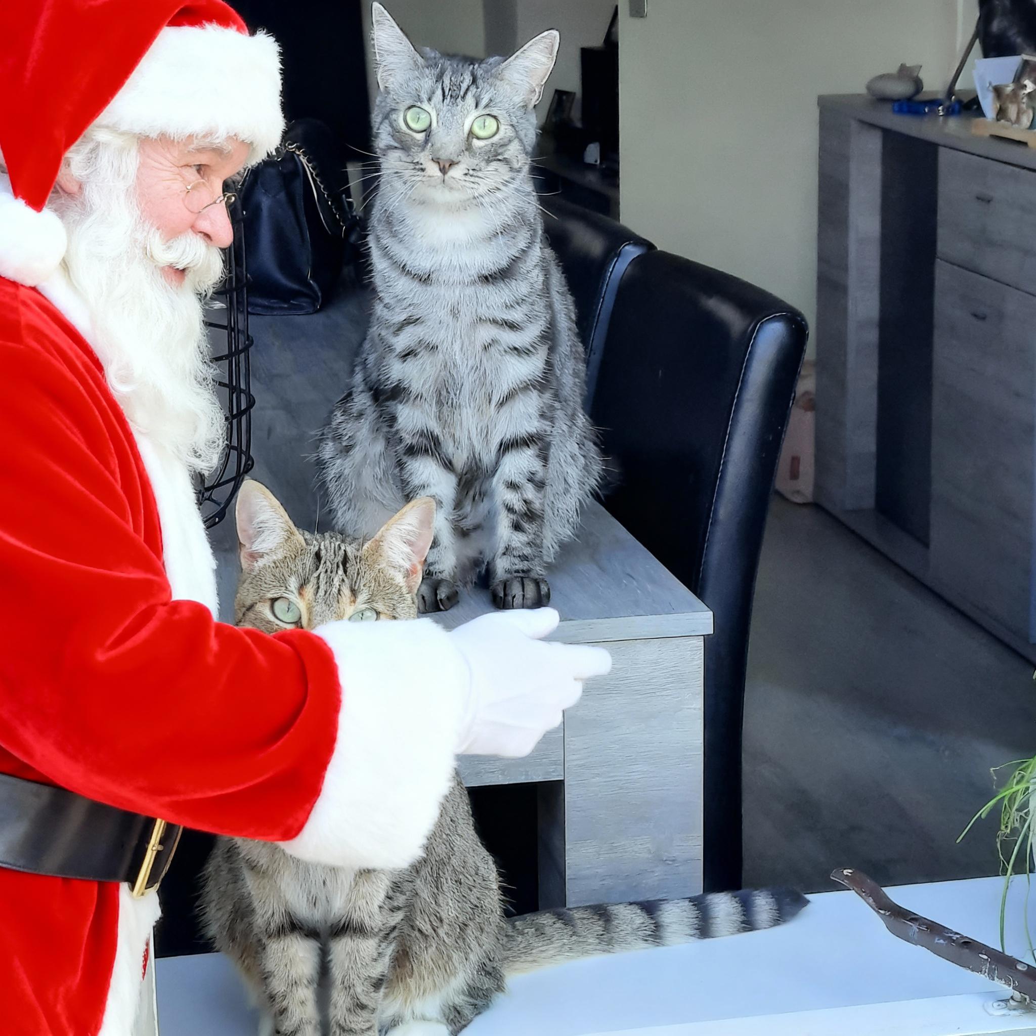 samen-met-een-kerstman-xc9mkzlcyt