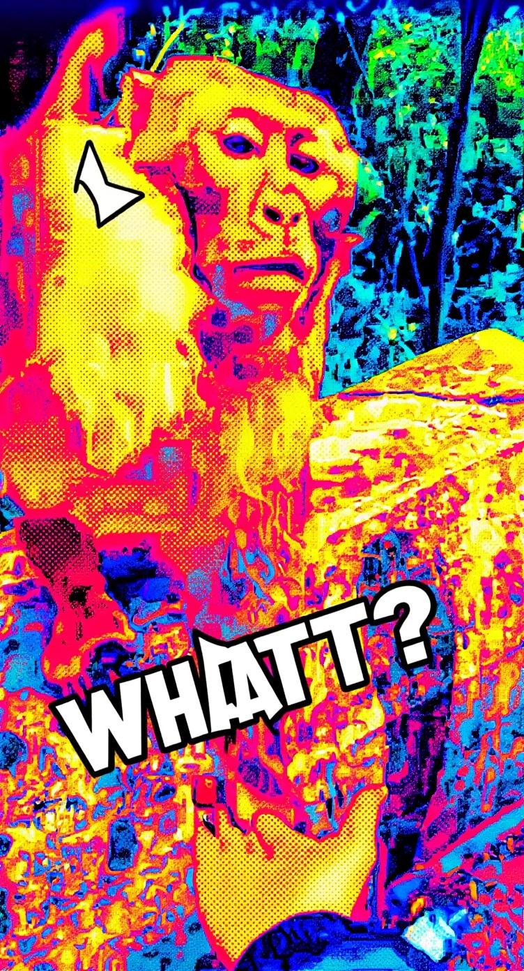 make-this-look-like-a-youtube-thumbnail-high-vh8alj0428