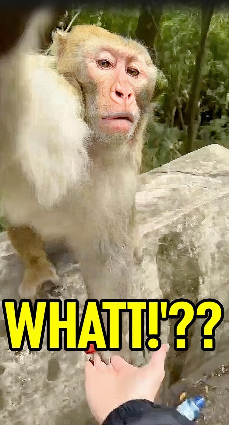 make-this-look-like-a-youtube-thumbnail-colorful-rvmbi8grfo