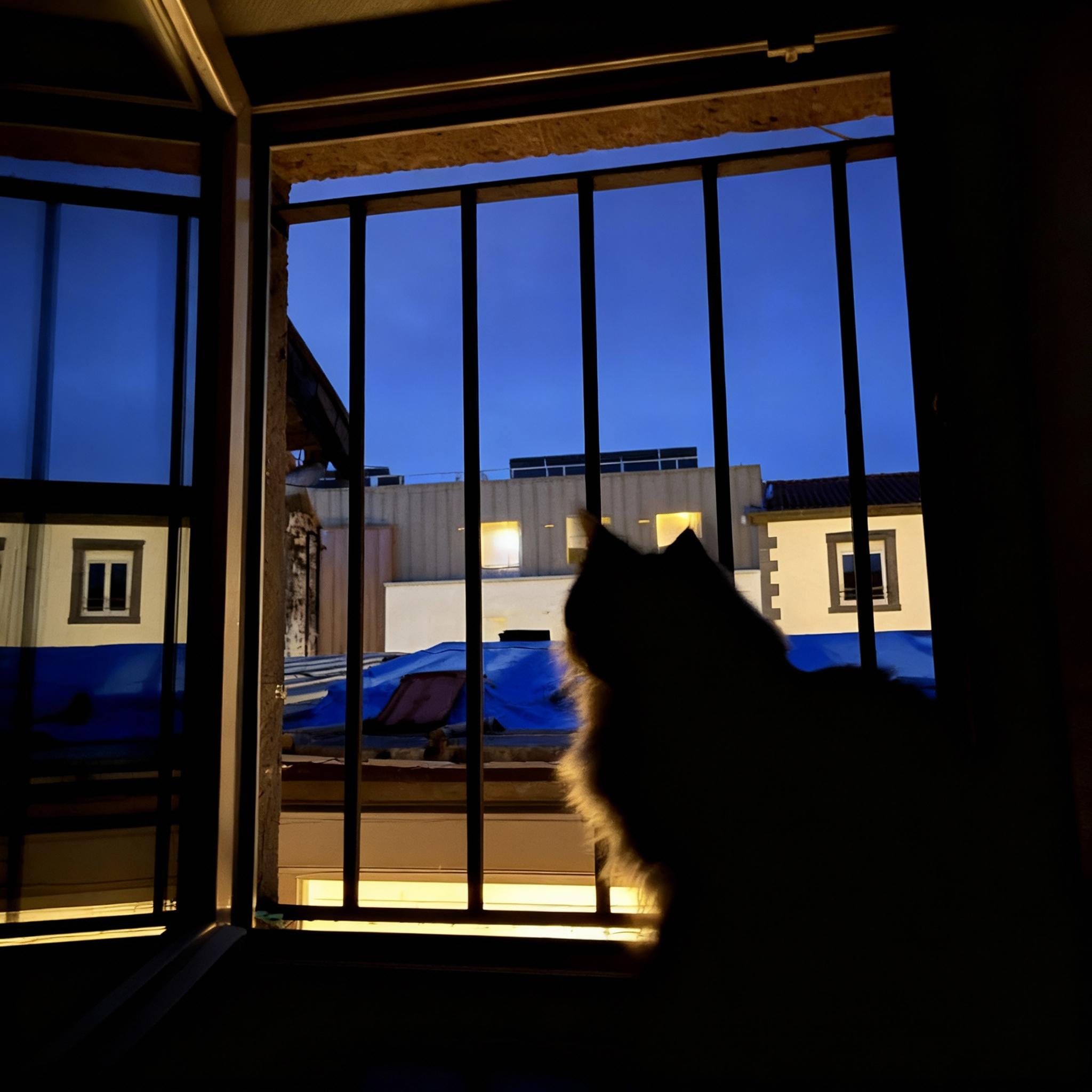 enlever-le-grillage-entre-les-barreaux-64az8u9i1d