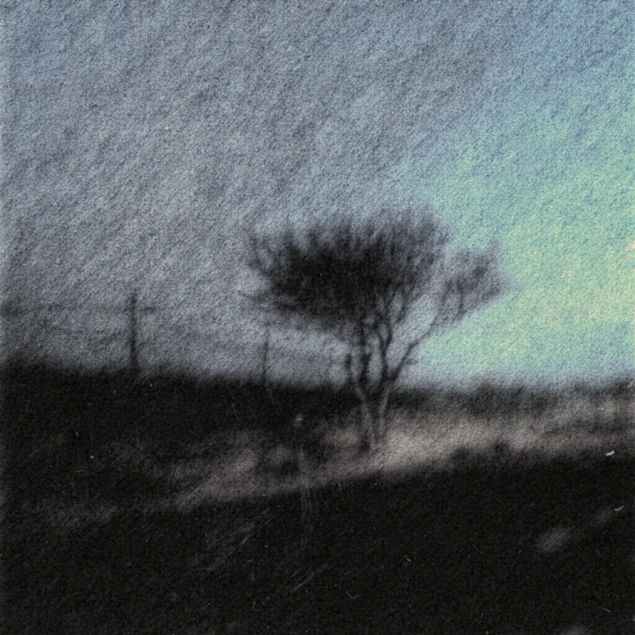 blue-tones-lonely-barren-tree-melancholic-toazegxvt4