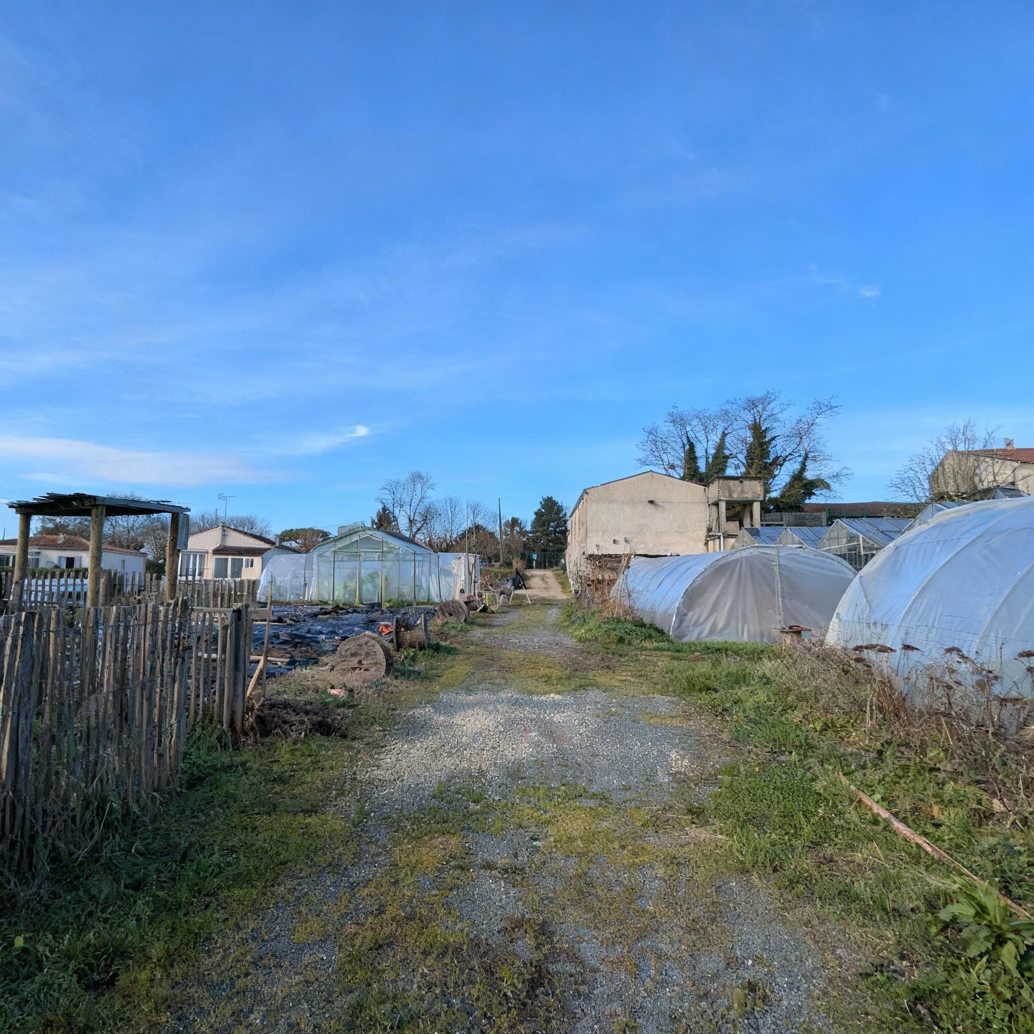 ajoute-2-serres-sur-la-partie-gauche-de-la-photo-7ronwy0zen