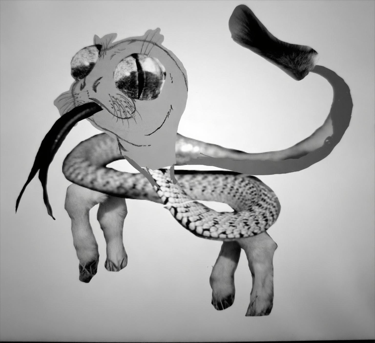 bitte-erstelle-daraus-schwarz-weiss-ausmalbild-8oq56y2p0u