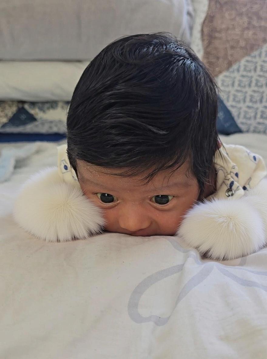 cambiar-fondo-por-fono-con-peluches-alrededor-60akvk39cn