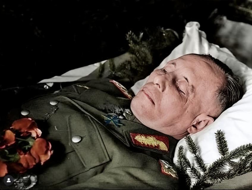 enhance-the-image-to-the-highest-possible-level-of-vk3sh9lad