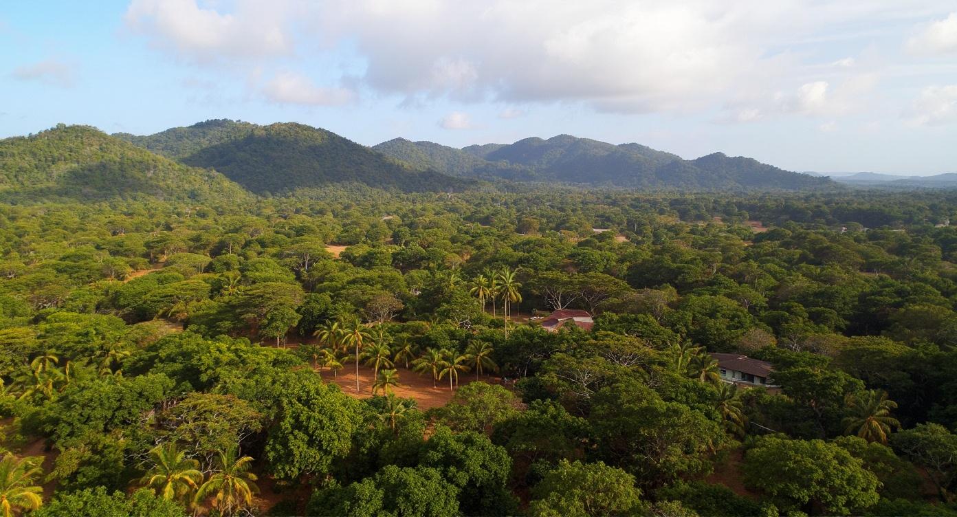 remove-people-boats-houses-and-cover-the-wksh1pyumy