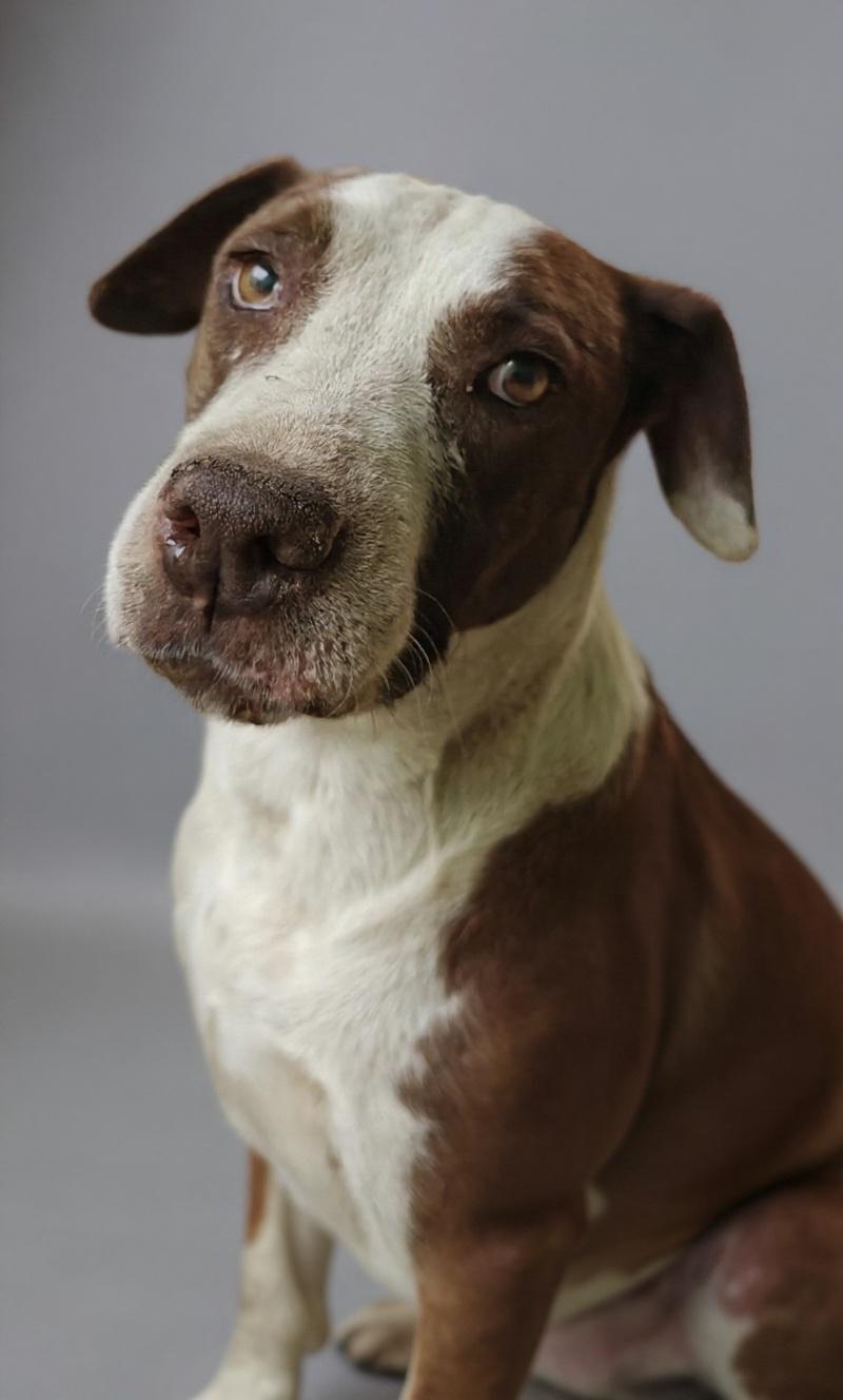 restaura-y-colorea-retrato-de-estudio-profesional-trf3zux9hp