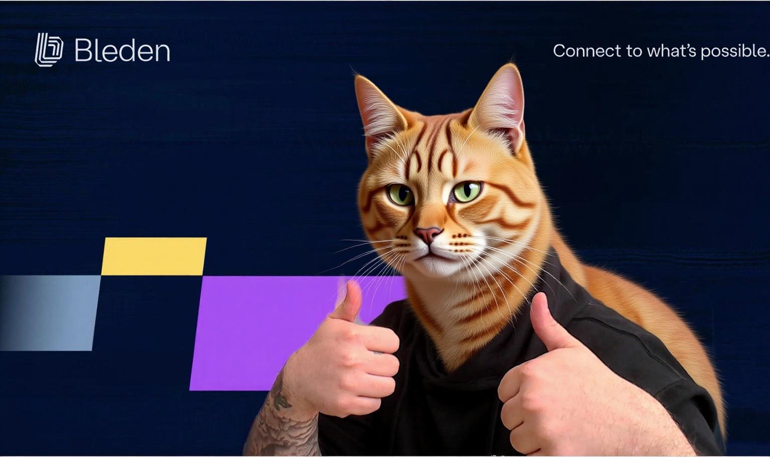 make-complete-cat-body-with-a-lot-of-hairs-but-b000jujgyw