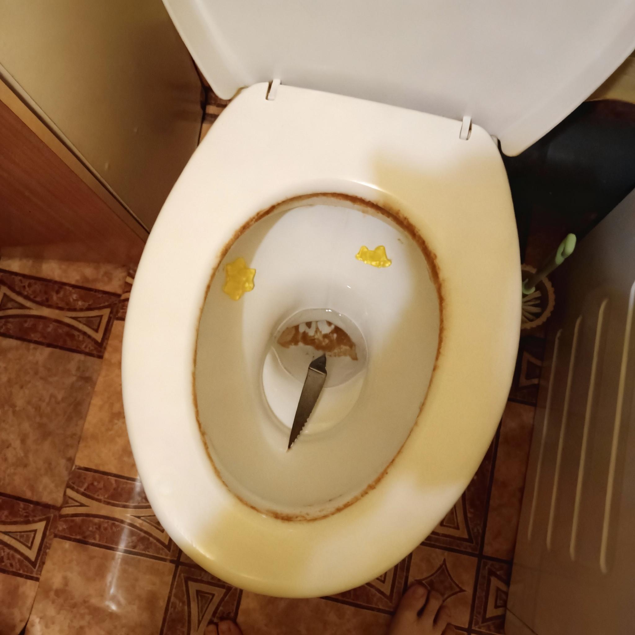 w-muszli-toalety-dodaj-ostra-biegunke-yqfw23lu32