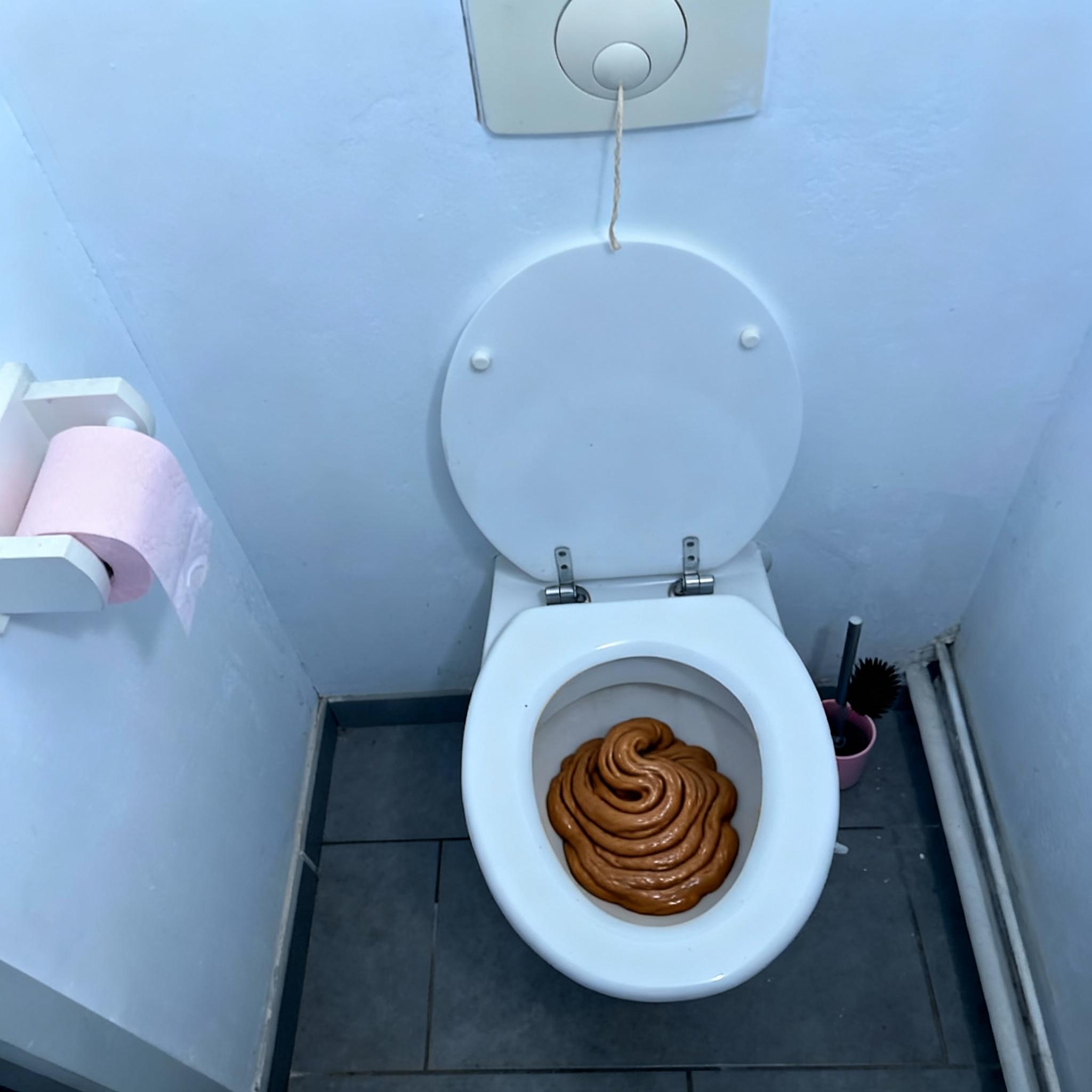 refait-avec-un-vomis-vrm-realiste-comme-avec-la-np2nctobqs-2