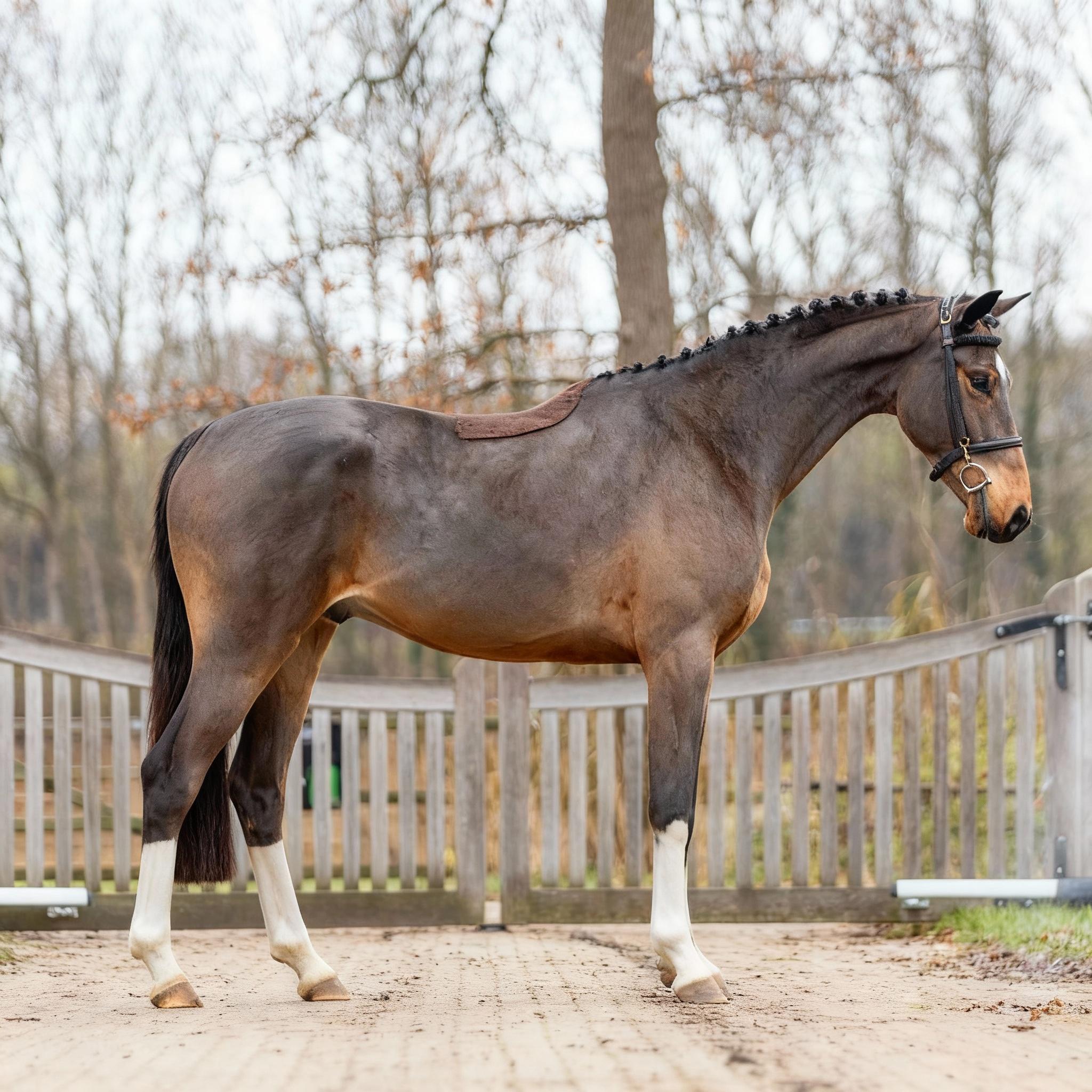 can-you-make-the-dirty-legs-clean-zdpyrxpef3