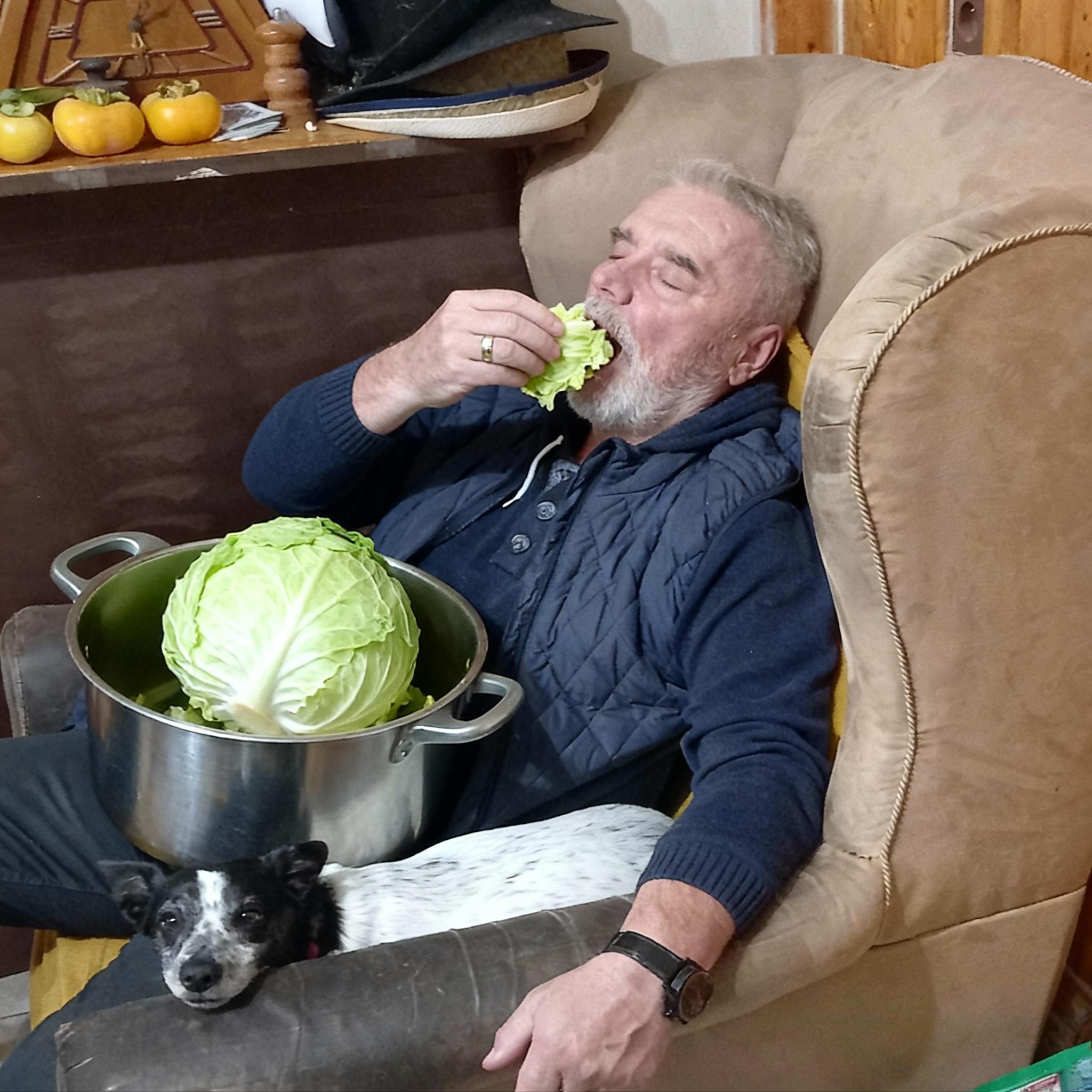a-sleeping-man-wakes-up-picks-up-a-cabbage-and-7ph0kjwez6