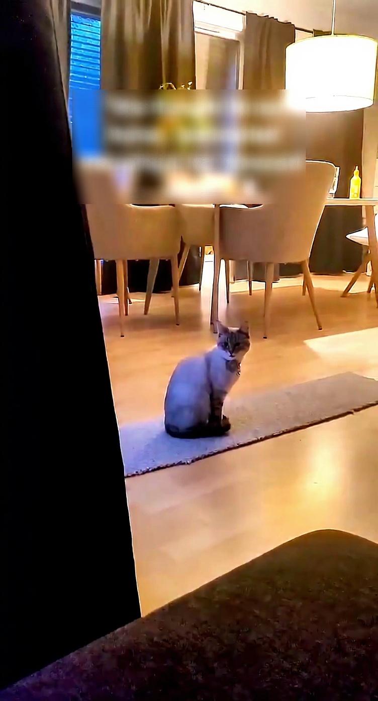 make-this-look-like-a-youtube-thumbnail-high-jxedna8tn3