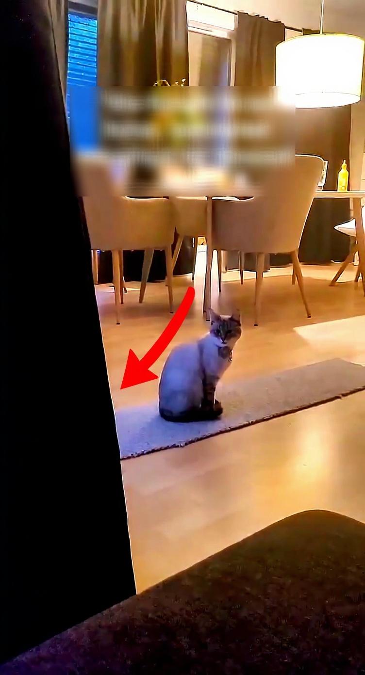 make-this-look-like-a-youtube-thumbnail-high-ujsj3745yc