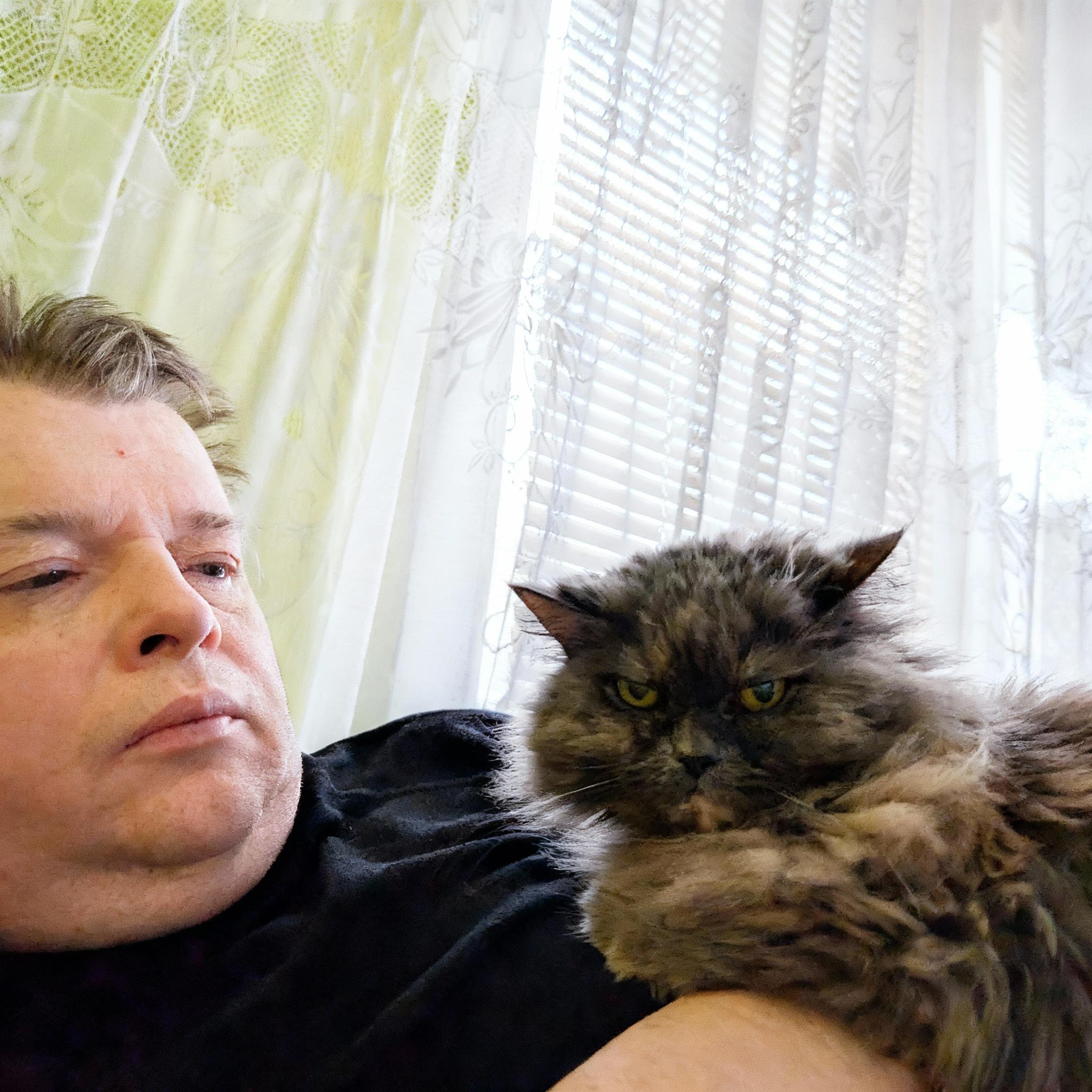 wyostrz-zdjecie-rozjasnij-kota-zrob-profesjonalne-z27iipiryp