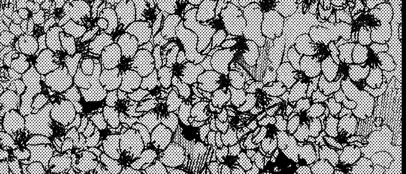 remove-the-big-red-area-and-only-the-red-area-snk5ytk7ix
