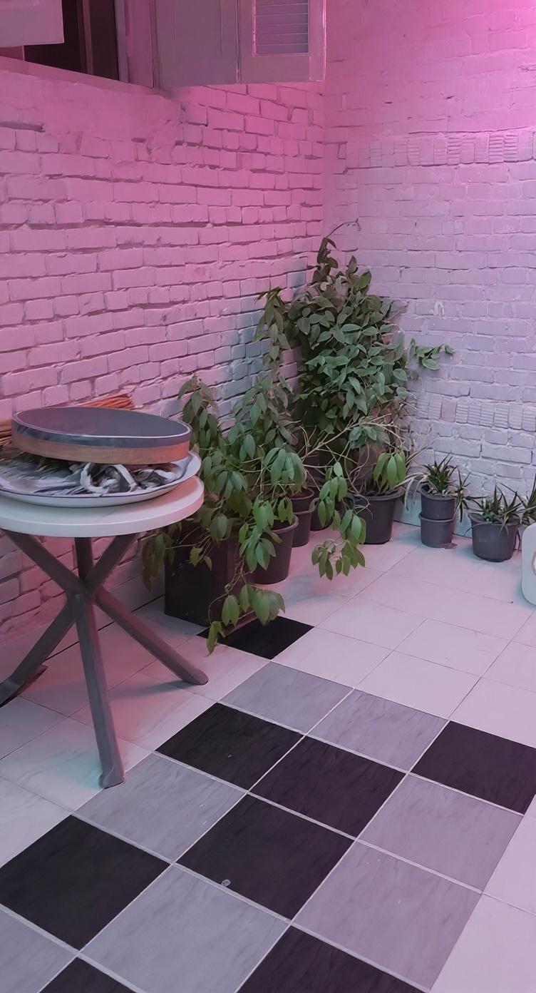 completely-redesign-the-walls-by-painting-them-a-l6m63ua5ki