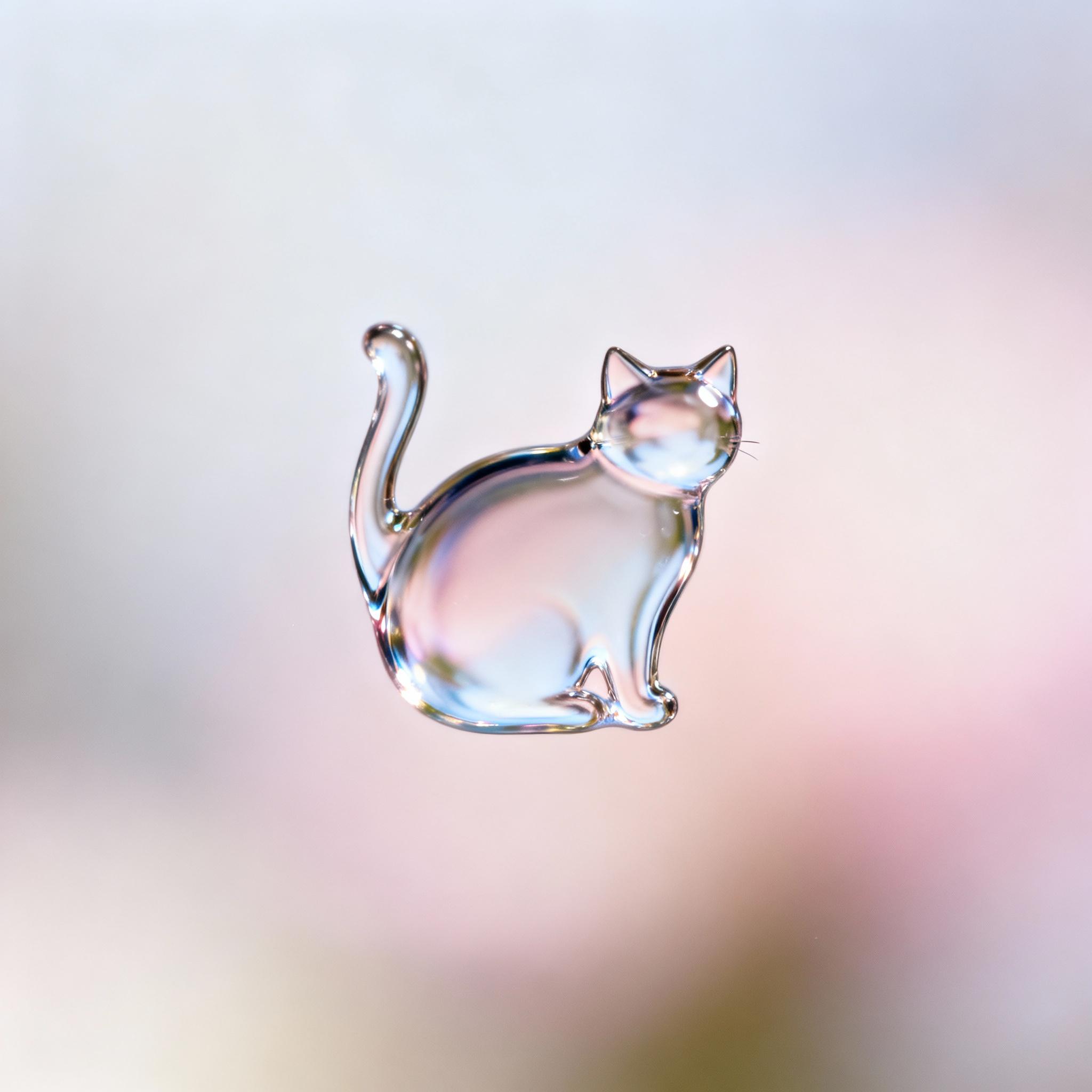 macro-photography-of-a-drop-in-the-shape-of-a-19pcb5tg7k