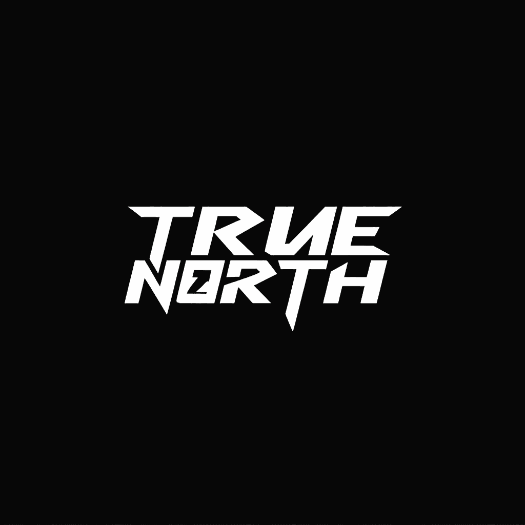 prompt-a-high-contrast-black-and-white-wwg2co3udj