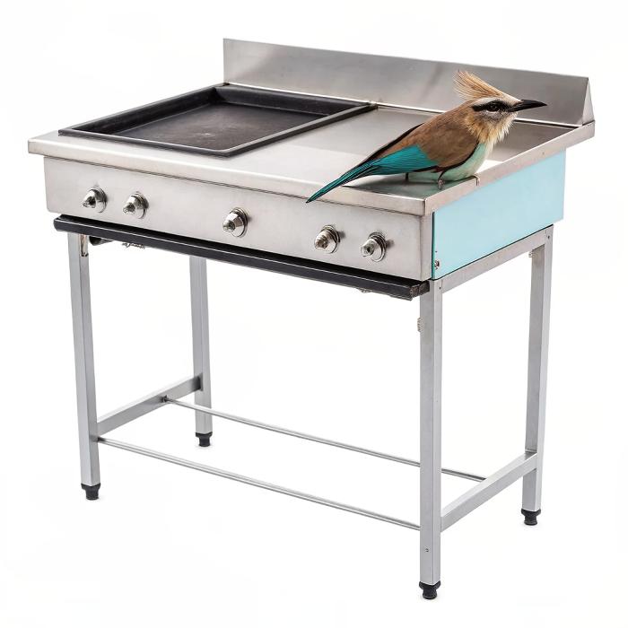 upscale-this-image-to-high-quality-8z2v99c8w3