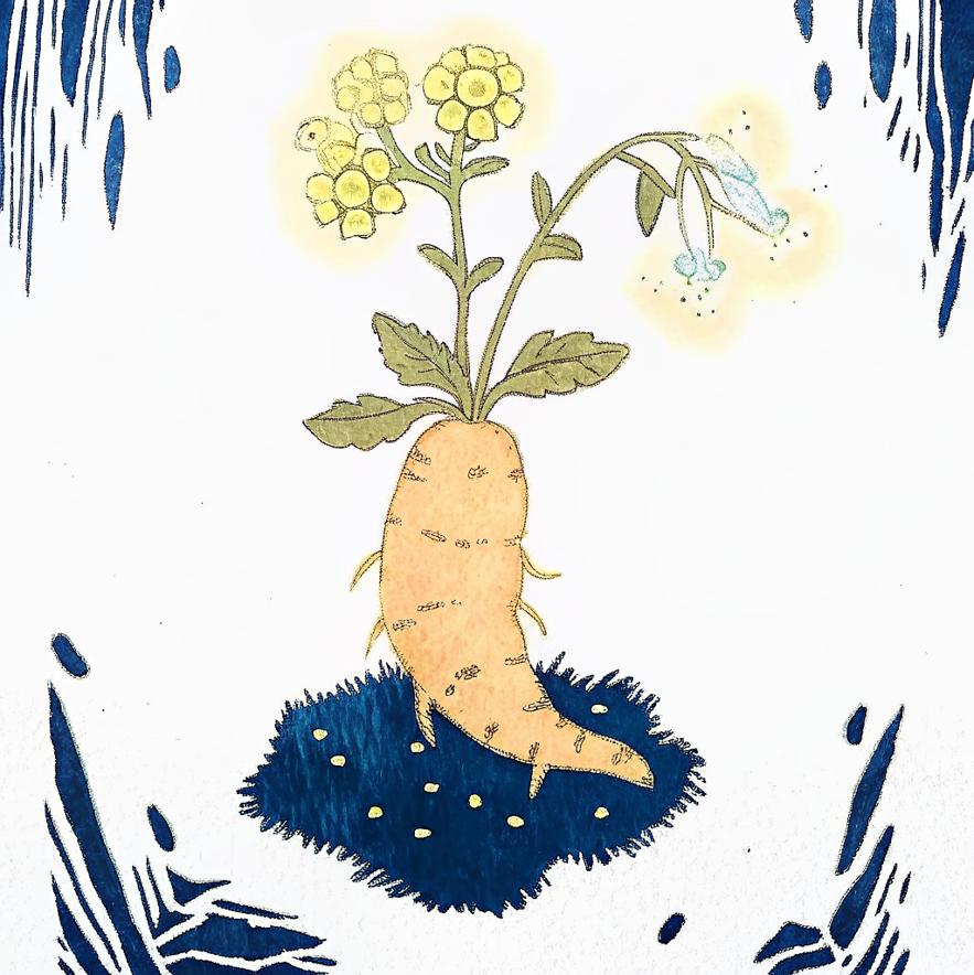 please-creatively-derive-ideas-from-this-dx81lzn87